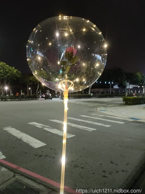 中央公園