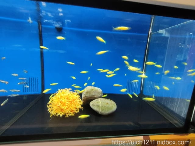 屏東熱帶博覽會