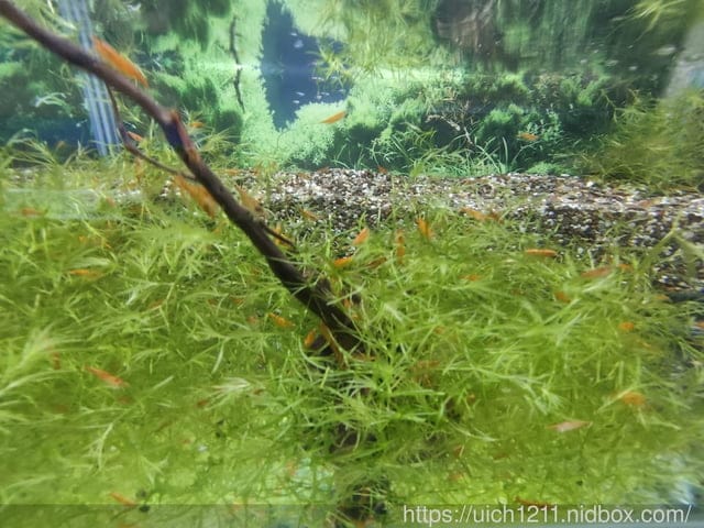 屏東熱帶博覽會