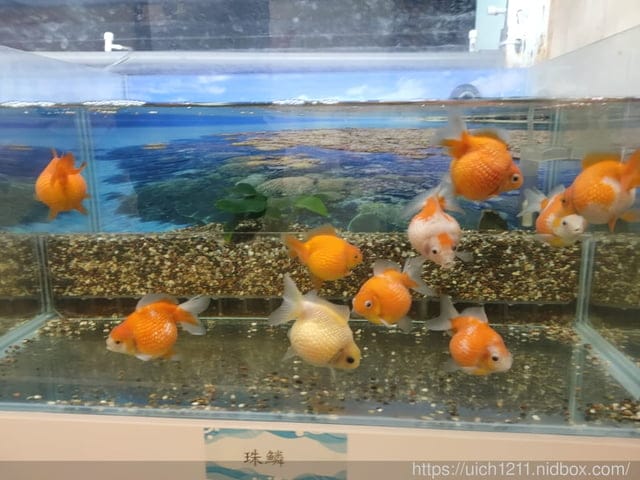 屏東熱帶博覽會