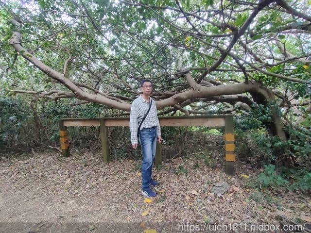 龜山步道與石門古戰場 - 第16張圖 龜山步道與石門古戰場
