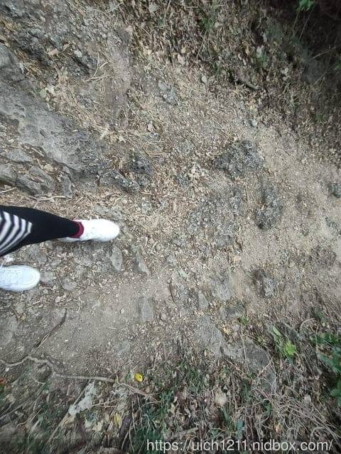 龜山步道與石門古戰場 - 第21張圖 龜山步道與石門古戰場