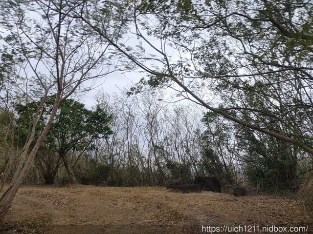 龜山步道與石門古戰場 - 第4張圖 龜山步道與石門古戰場