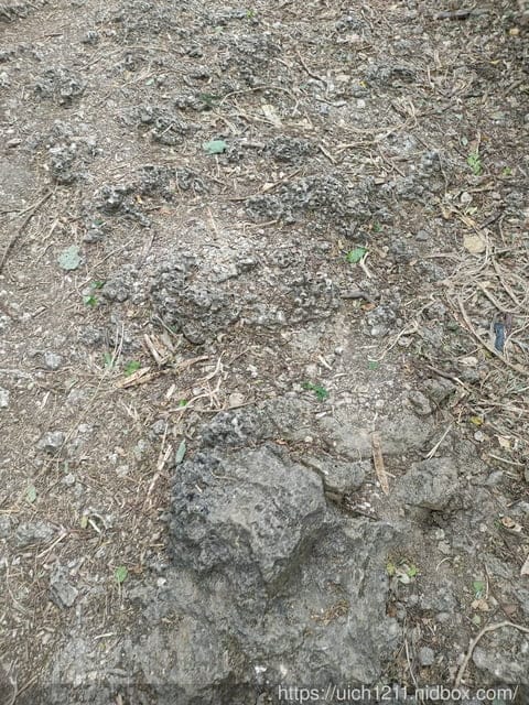 龜山步道與石門古戰場 - 第7張圖 龜山步道與石門古戰場