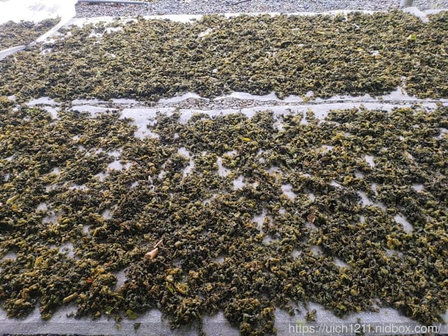 欖仁溪 - 第8張圖 欖仁溪