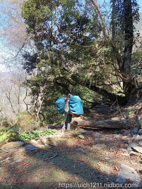 八通關龍貓公車