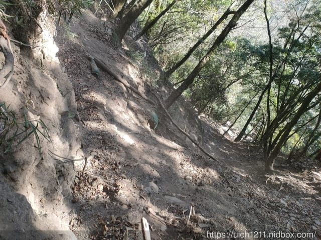 八通關龍貓公車