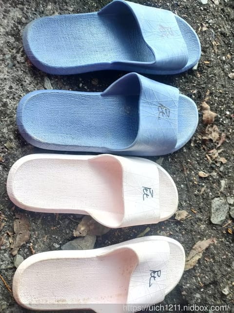 八通關龍貓公車