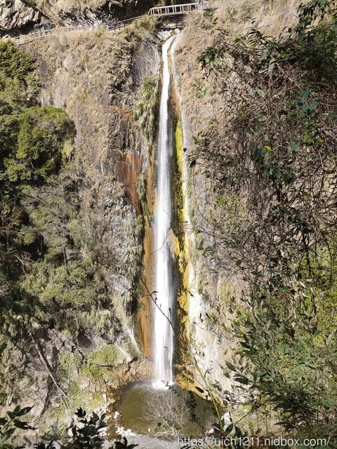 八通關龍貓公車