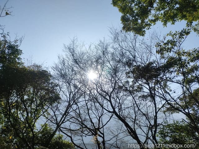 八通關龍貓公車