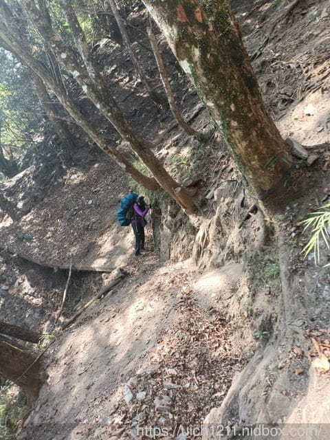 八通關龍貓公車