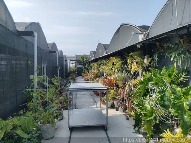 台中路跑.找路咖啡.清水休息站 - 第28張圖 台中路跑.找路咖啡.清水休息站