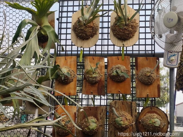 台中路跑.找路咖啡.清水休息站 - 第36張圖 台中路跑.找路咖啡.清水休息站