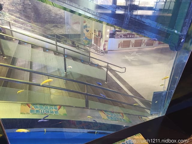 台中路跑.找路咖啡.清水休息站 - 第49張圖 台中路跑.找路咖啡.清水休息站