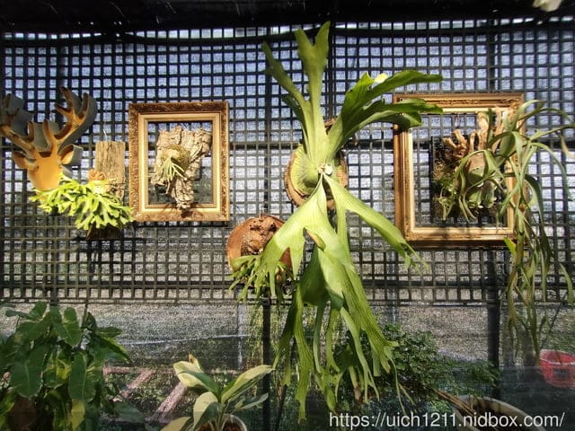 台中路跑.找路咖啡.清水休息站 - 第35張圖 台中路跑.找路咖啡.清水休息站
