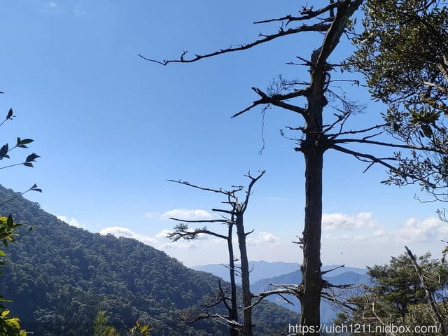 谷關燈光節 - 第7張圖 谷關燈光節