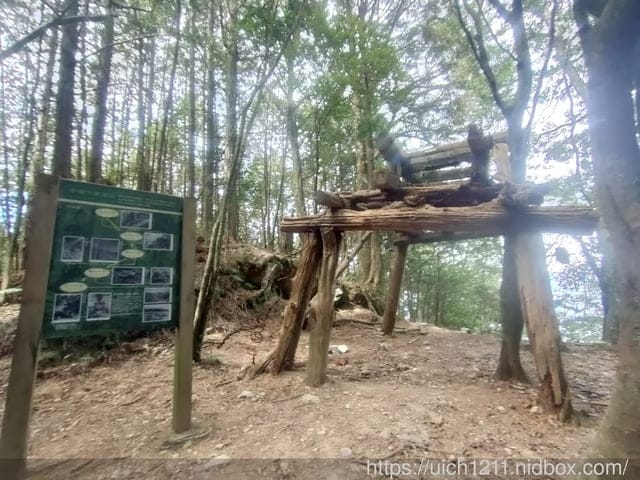 谷關燈光節 - 第5張圖 谷關燈光節