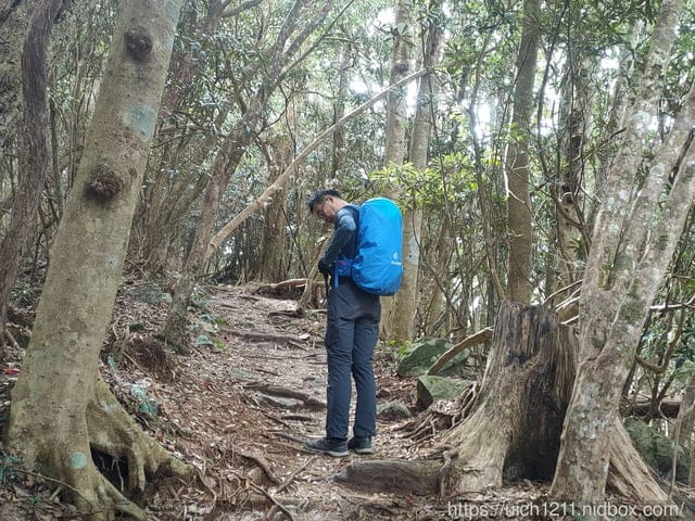 谷關燈光節 - 第4張圖 谷關燈光節