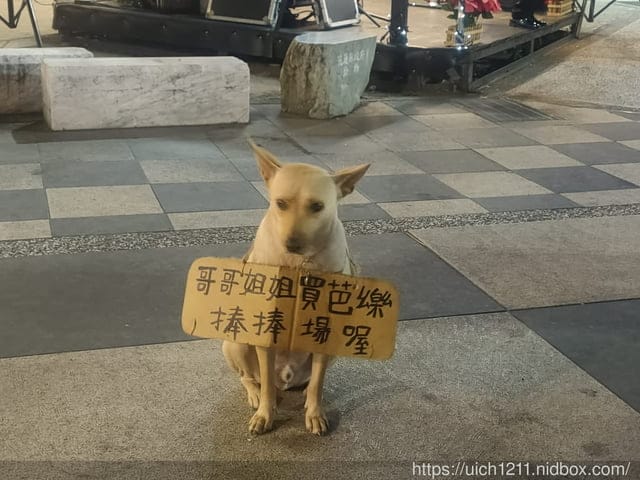 和寶貝女兒的花蓮之旅 - 第23張圖 和寶貝女兒的花蓮之旅
