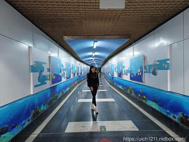 大陸上海之旅 - 第37張圖 大陸上海之旅