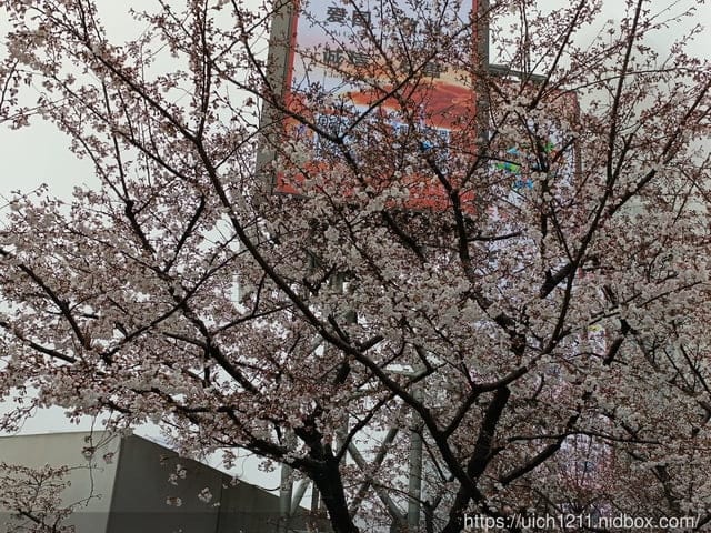 大陸上海之旅 - 第32張圖 大陸上海之旅