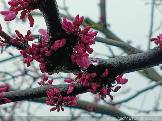 大陸上海之旅 - 第27張圖 大陸上海之旅