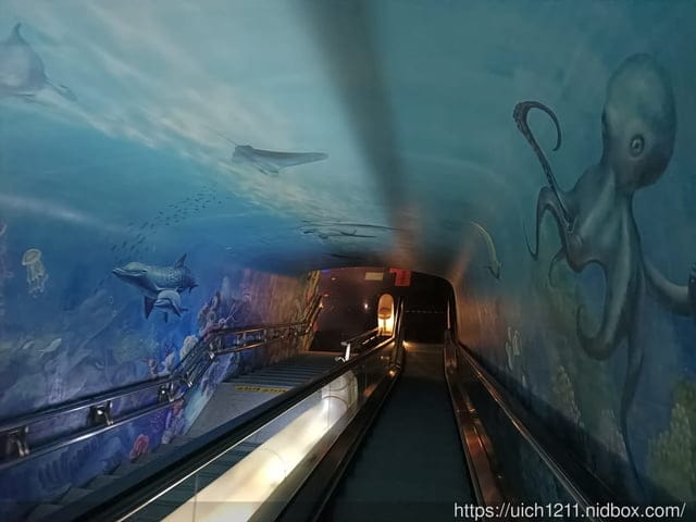 大陸上海之旅 - 第39張圖 大陸上海之旅