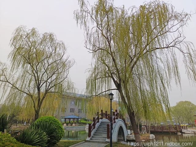 大陸山東之旅
