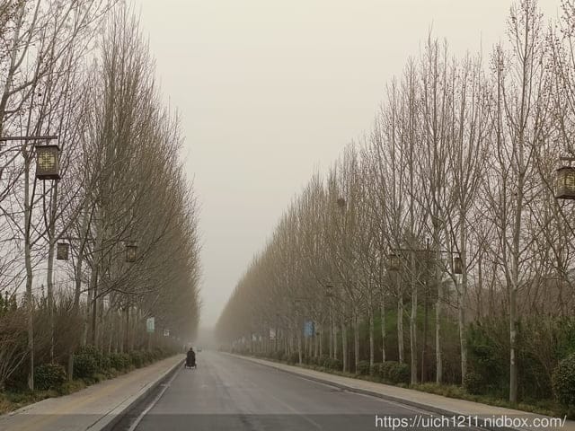 大陸山東之旅