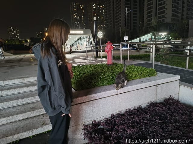 大陸重慶之旅1 - 第4張圖 大陸重慶之旅1