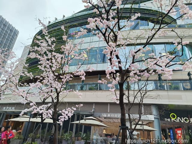 大陸重慶之旅1 - 第15張圖 大陸重慶之旅1