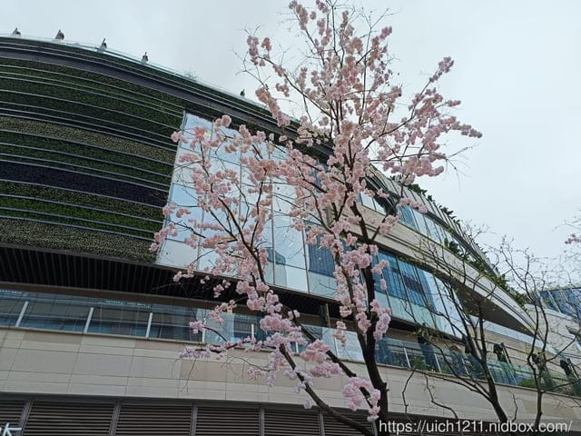 大陸重慶之旅1 - 第18張圖 大陸重慶之旅1