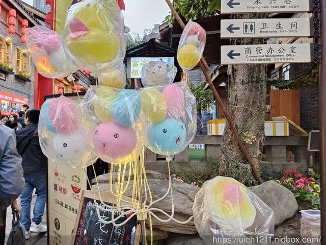 大陸重慶之旅2