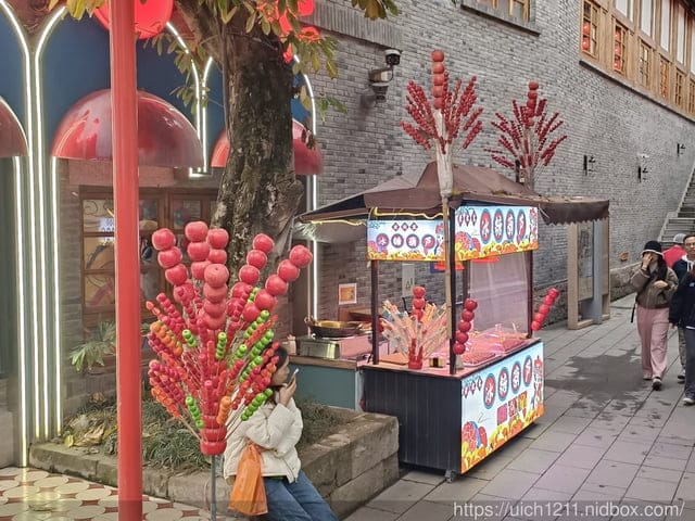 大陸重慶之旅2