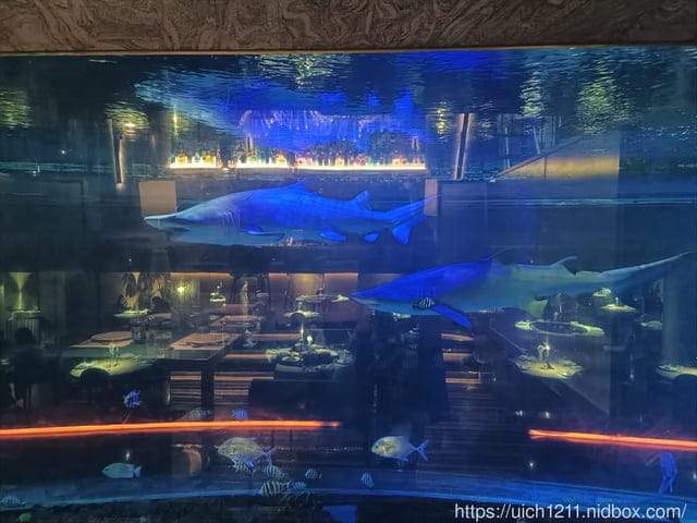 大陸重慶之旅3