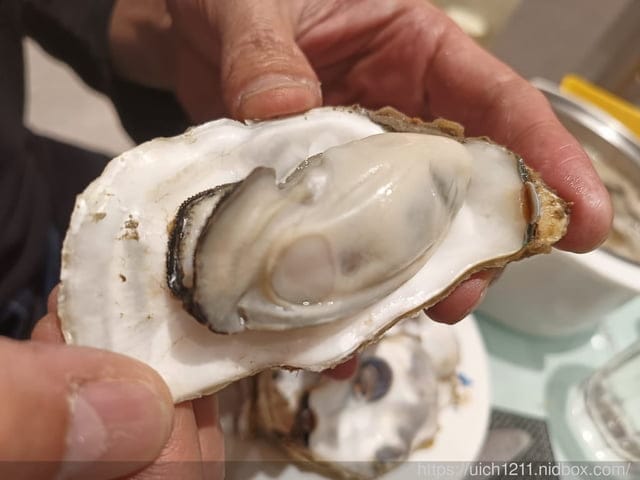 大陸重慶之旅3