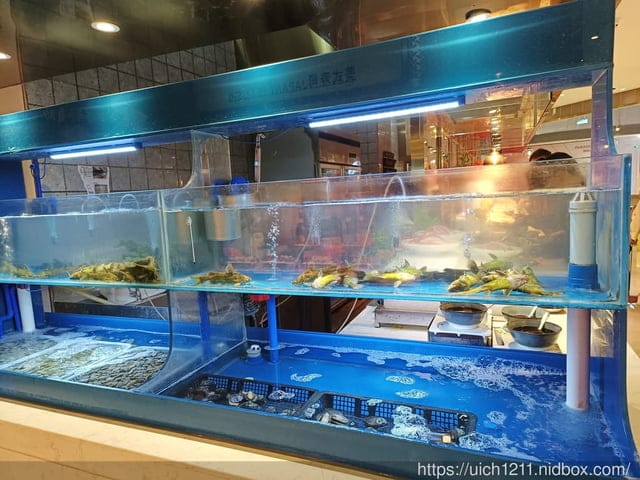 大陸重慶之旅3