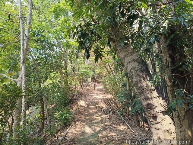 虎頭山公園~桃園神社~周家庄 - 第37張圖 虎頭山公園~桃園神社~周家庄