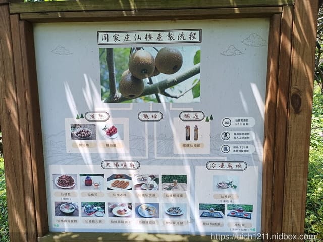 虎頭山公園~桃園神社~周家庄 - 第33張圖 虎頭山公園~桃園神社~周家庄