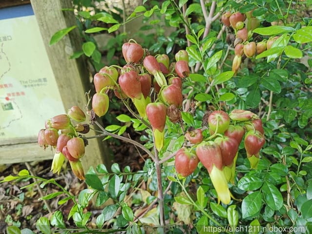 虎頭山公園~桃園神社~周家庄 - 第49張圖 虎頭山公園~桃園神社~周家庄