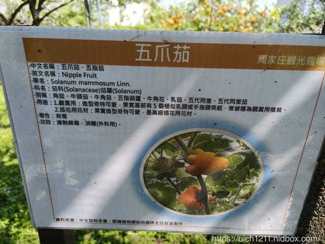 虎頭山公園~桃園神社~周家庄 - 第54張圖 虎頭山公園~桃園神社~周家庄