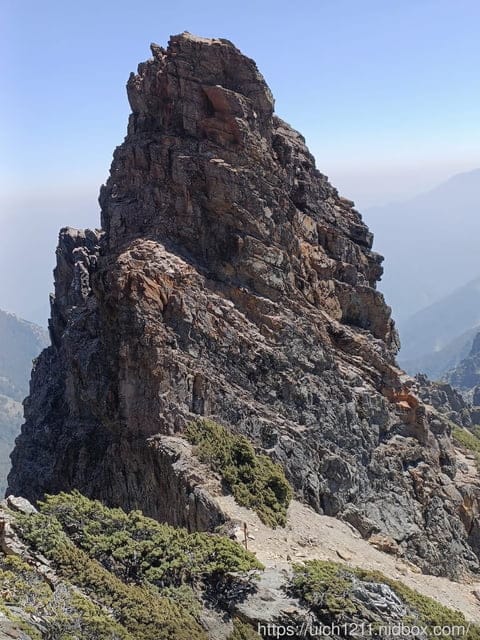 玉山主東北峰 - 第35張圖 玉山主東北峰