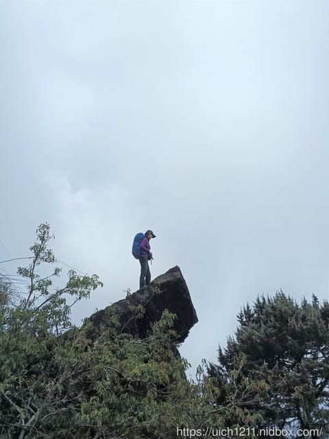 玉山主東北峰 - 第6張圖 玉山主東北峰