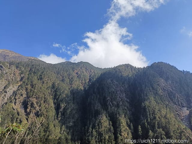 玉山主東北峰 - 第7張圖 玉山主東北峰