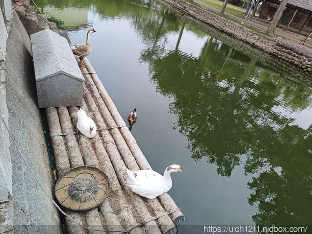 母親節台南之旅 - 第30張圖 母親節台南之旅