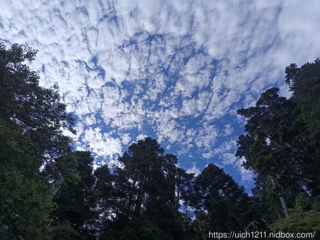 奇萊東稜