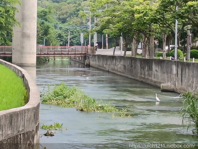 外埔忘憂谷