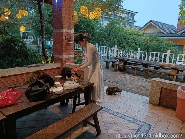 清境夏都夢幻山林 - 第34張圖 清境夏都夢幻山林