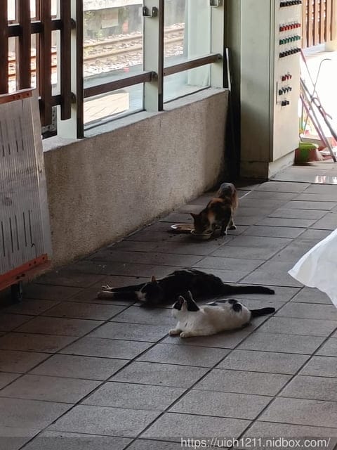 花蓮之旅~