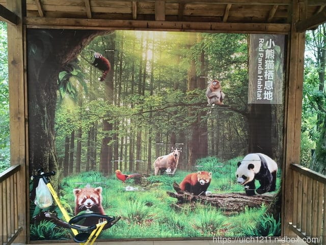 大陸成都之旅